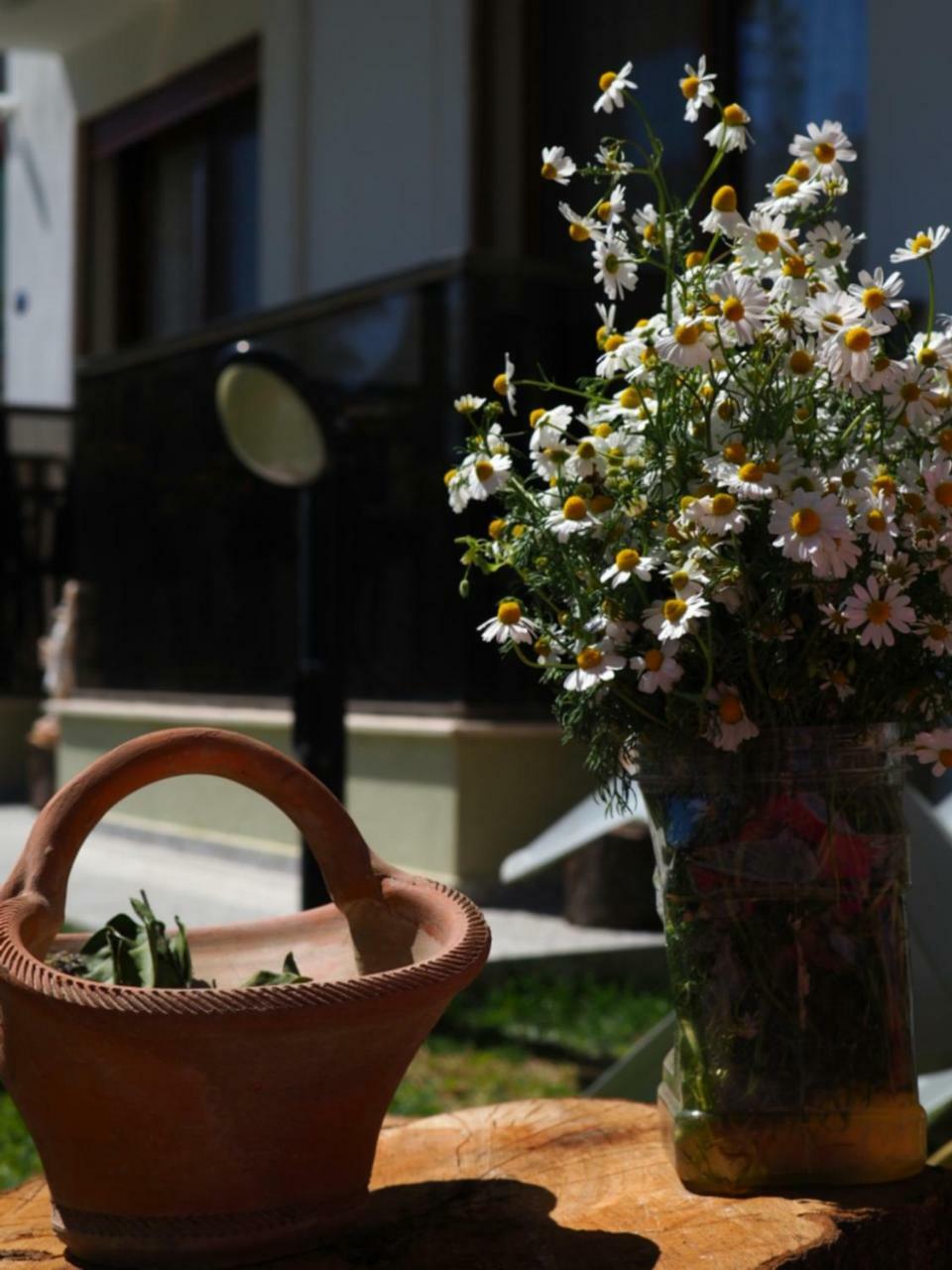 Derin Butik Otel Siğacık Exterior foto